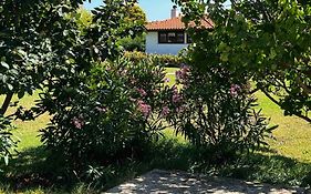 Casa La Vida